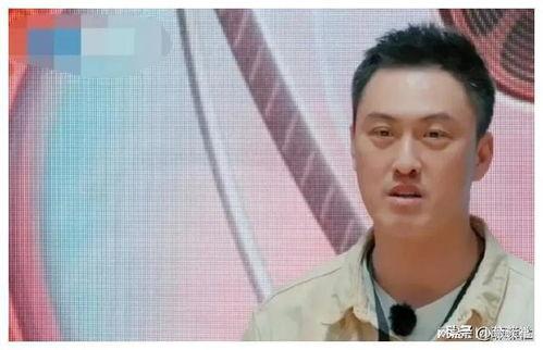 资本娱乐圈吃瓜爆料,揭秘幕后真相与热点事件